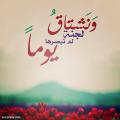 سلوى هوساوي