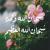 هياء مبارك