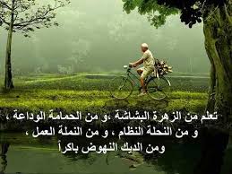 images (6)