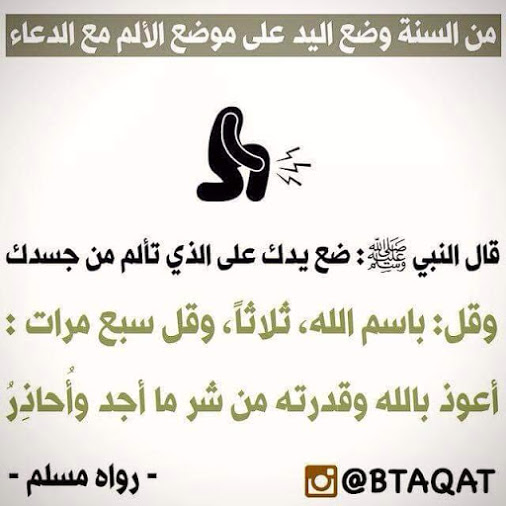 2015 - 1 (5)
