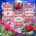 أم عبد الرحمن أنيم