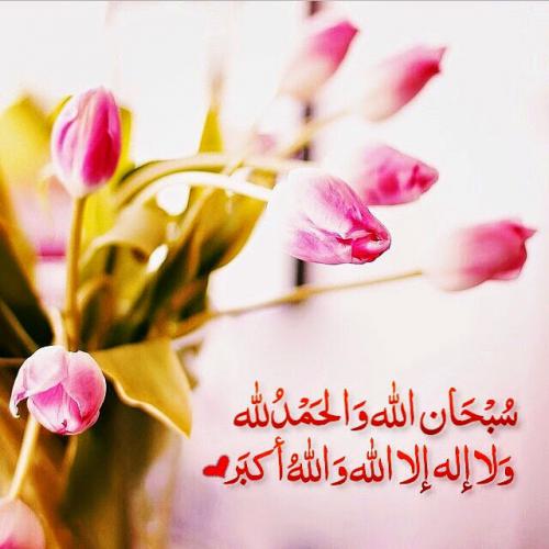 instaG_٢٠١٤_١١_٠٤_١٩.٤٩.٢٢