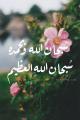 هياء مبارك