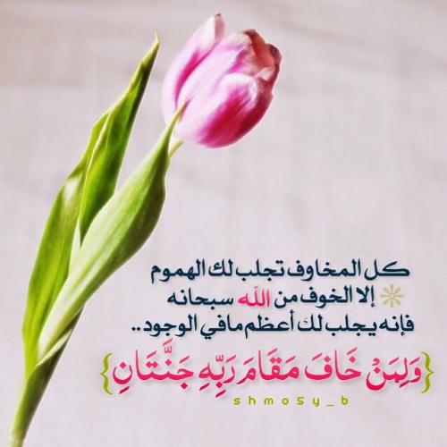 instaG_٢٠١٤_١١_١١_٢١.٥٠.٢١