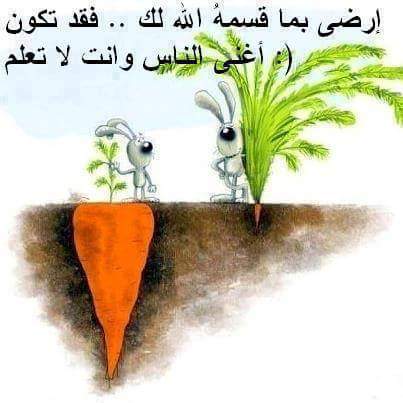 FB_IMG_1441035965652