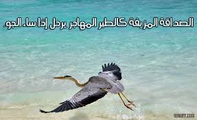 images (5)