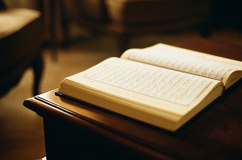 tumblr_npai4lzu6p1su0unmo3_500