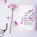 عودة بلماحي