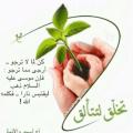 فاطمة حسين