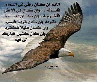 امين يارب