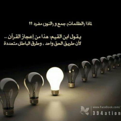 10156071_10152368007091013_6173703754369260281_n