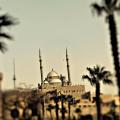Marwa ahmed